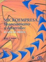 Microempresa, Financiamiento y Desarrollo: El Caso de México